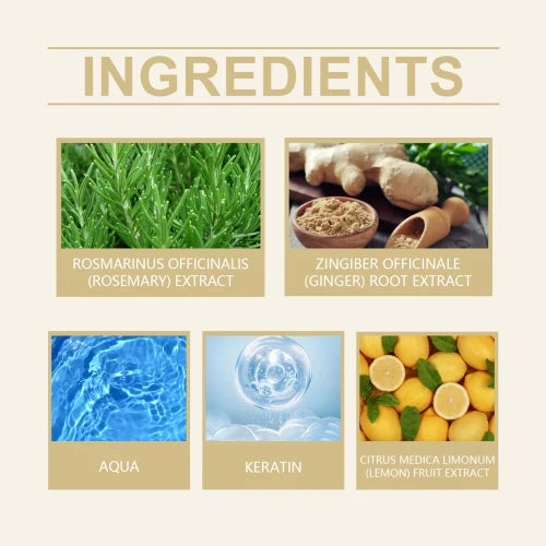 Eelhoe Rosemary Ginger Deep Cleaning Repair Dry  Soft And Strong Hair Care Shampoo