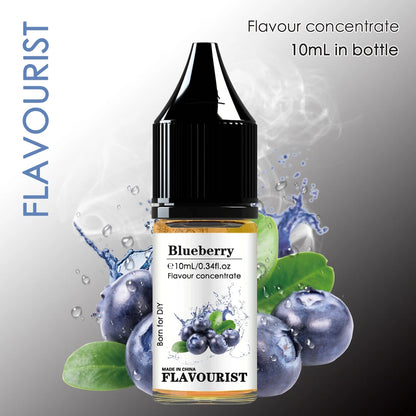 FLAVOURIST myrtille eau solubilité arôme concentré Fruits arôme E aromatisé bricolage jus liquide Parfum - DOGOMET DIGITAL PLUS