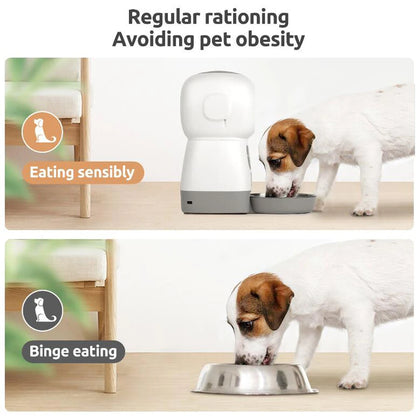Mangeoire automatique intelligente pour animaux de compagnie, bol en acier inoxydable, distributeur automatique de nourriture, fournitures d'alimentation pour chats et chiens, minuterie, 3,5 L